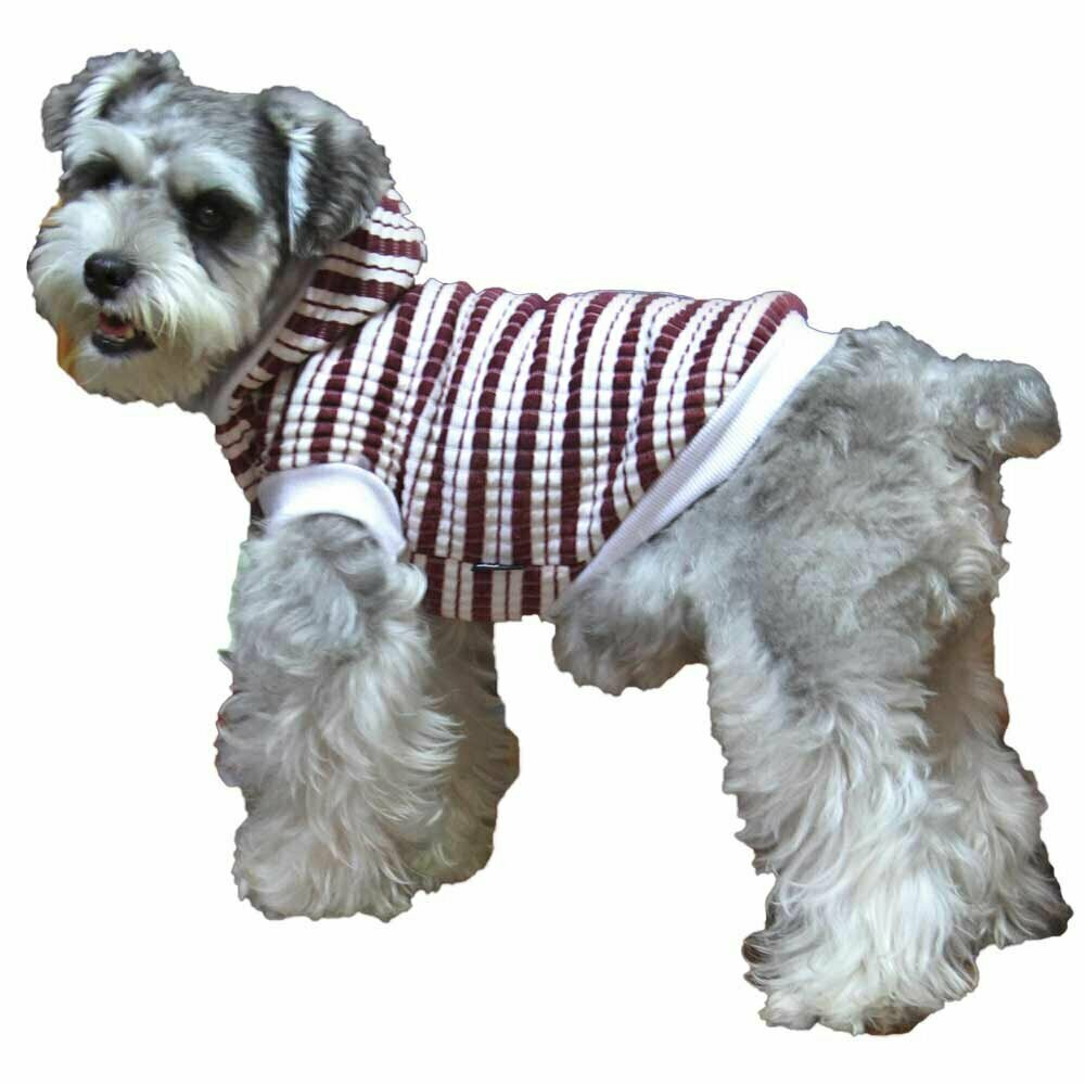Warmer Hundesweater für kalte Tage