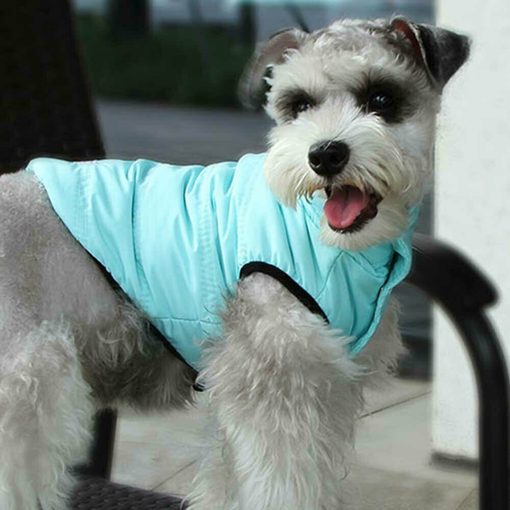 Sehr warme Hundebekleidung von GogiPet