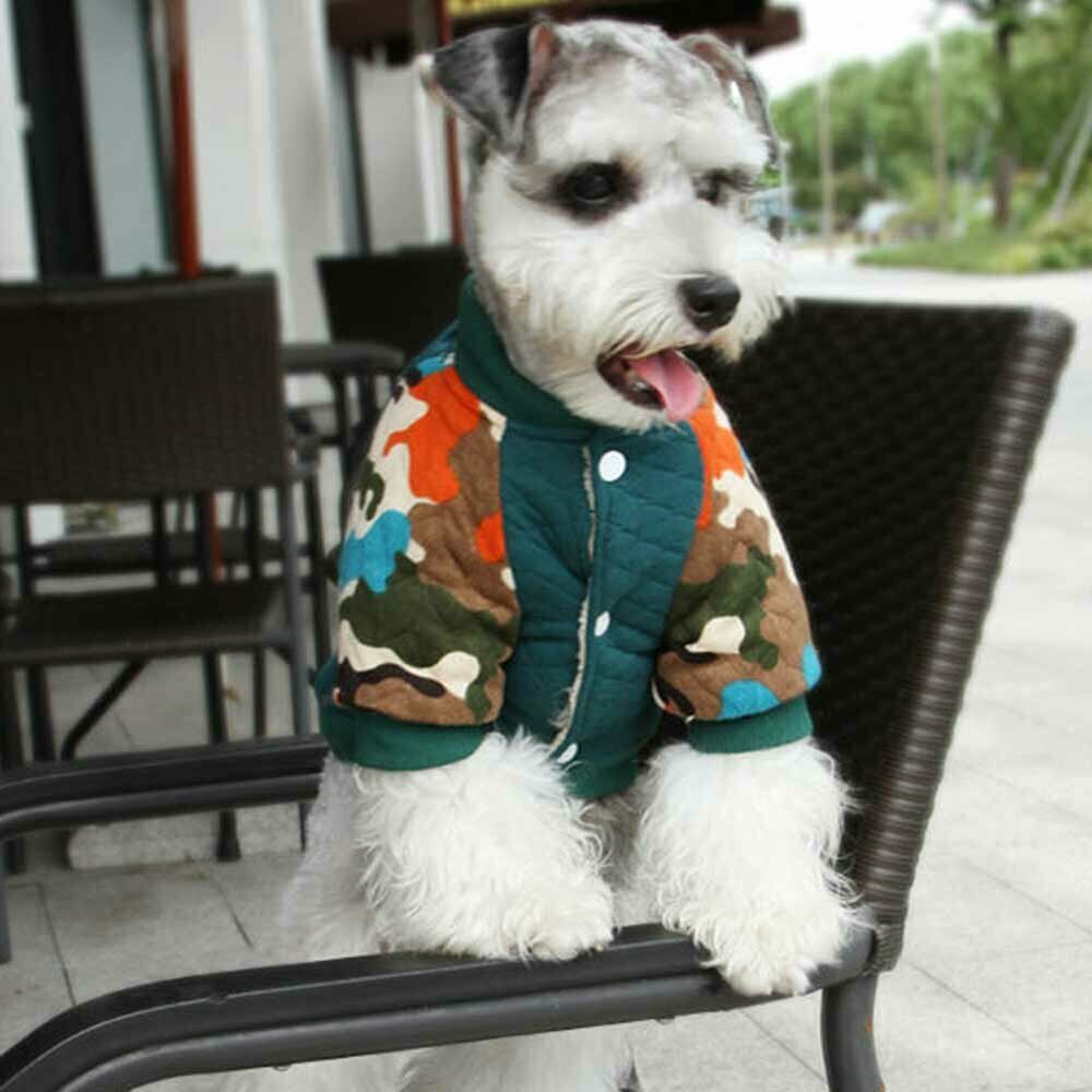 Warme Hundekleidung grüne Sportjacke extra warm