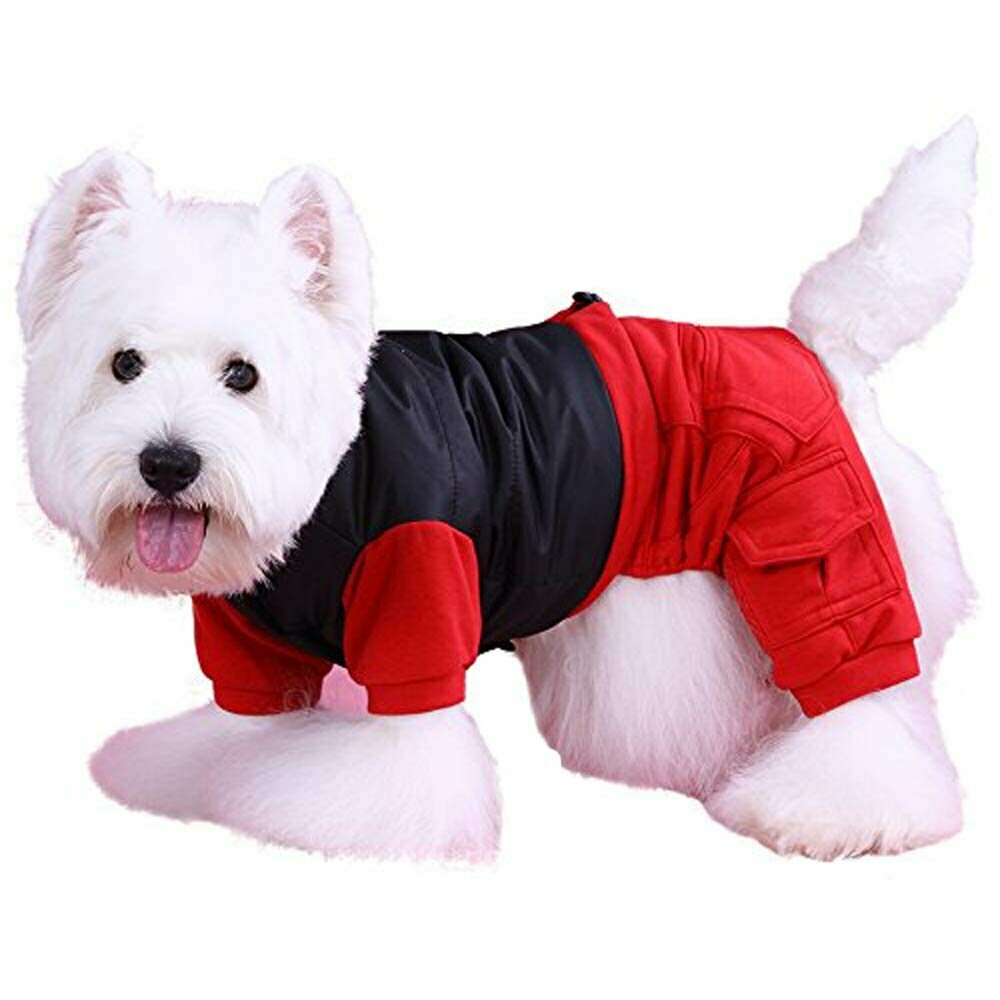 Warme Hundekleidung von DoggyDolly