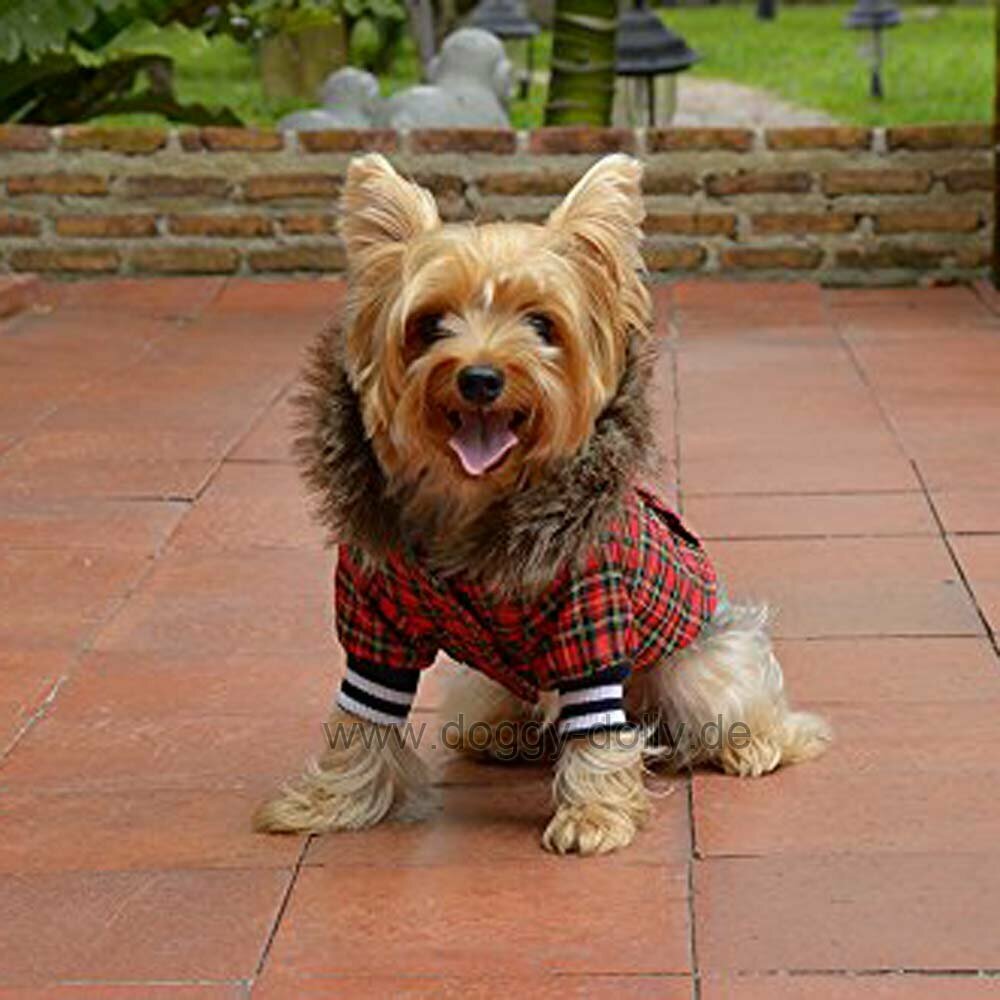 niedlicher Hundemantel rot kariert - der Markenhundemantel mit sehr guter Qualität von DoggyDolly Hundebekleidung W128