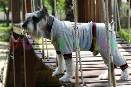 grauer Trainingsanzug für Hunde