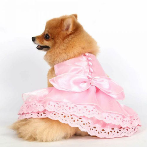 Brautkleider und Brautjungfernkleider für Hunde